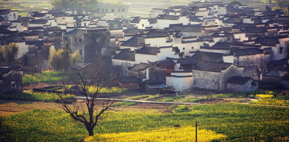基层需求为何“音量不足”